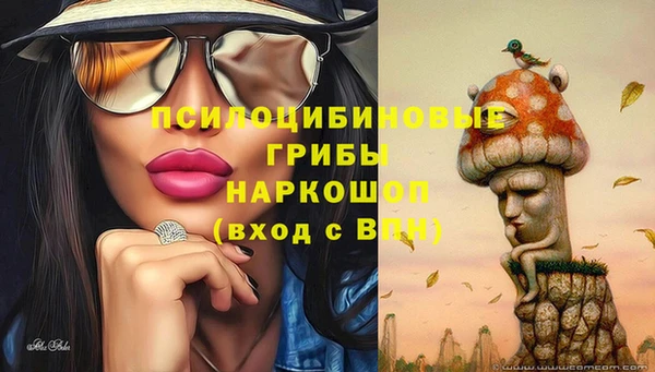 ешки Навашино